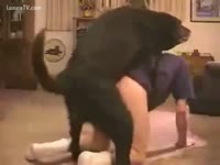 Blackie acquires a snatch ride